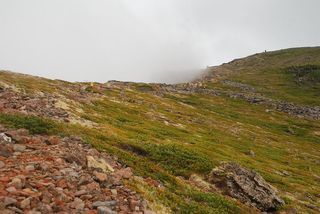 DSC_1366_r.JPG