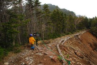 DSC_1415_r.JPG