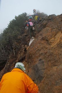 DSC_1500_r.JPG