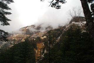 DSC_1537_r.JPG
