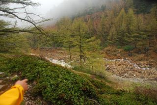 DSC_1545_r.JPG