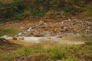 DSC_1546_r.JPG
