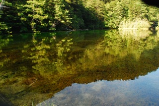 DSC_1761_1.JPG