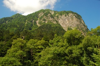 DSC_1936_1.JPG