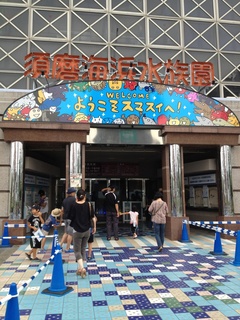 IMG_6670.jpg