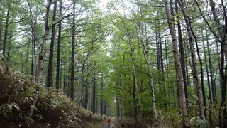 P1000950_r.JPG